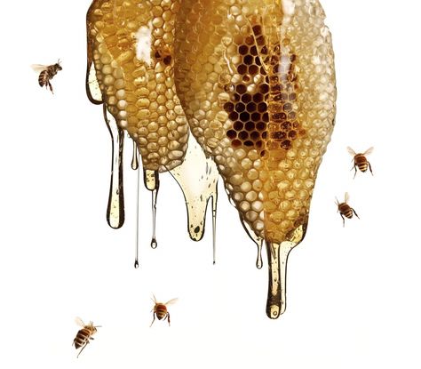 Dripping honey combs surrounded by honey bees #honeybee #honeycomb #photography Raising Bees, Aesthetic Health, Tattoo Health, Photo Food, Local Honey, Bee Tattoo, Manuka Honey, Bees Knees, Save The Bees