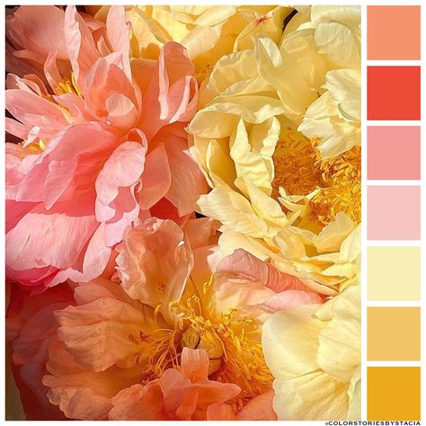 Coral Sunset, Color Story, Orange Flower, Color Stories, Orange Flowers, Eye Catching Colors, Yellow Orange, Art Classes, Colorful Flowers