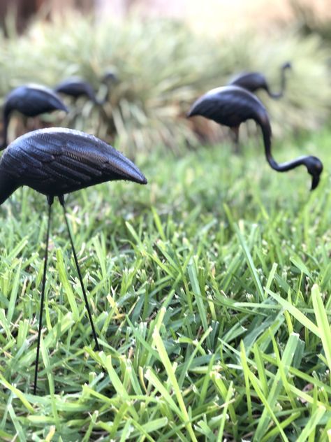 Halloween Lawn Decor, Cute Diy Decor, Yard Flamingos, Halloween Lawn Decorations, Lawn Flamingos, Black Flamingo, Halloween Lawn, Flamingo Ornament, Decor For Halloween