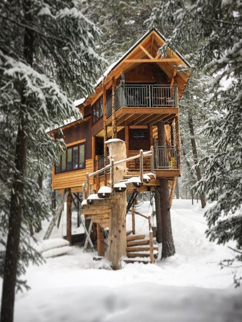 These 11 Vacation Homes Are Built for Adventure—Rent Them Now Nature Pond, Indoor Slide, Casa Fantasy, Window Wells, Beautiful Tree Houses, Tree Tent, Black Houses, Storm Shelter, Cool Tree Houses