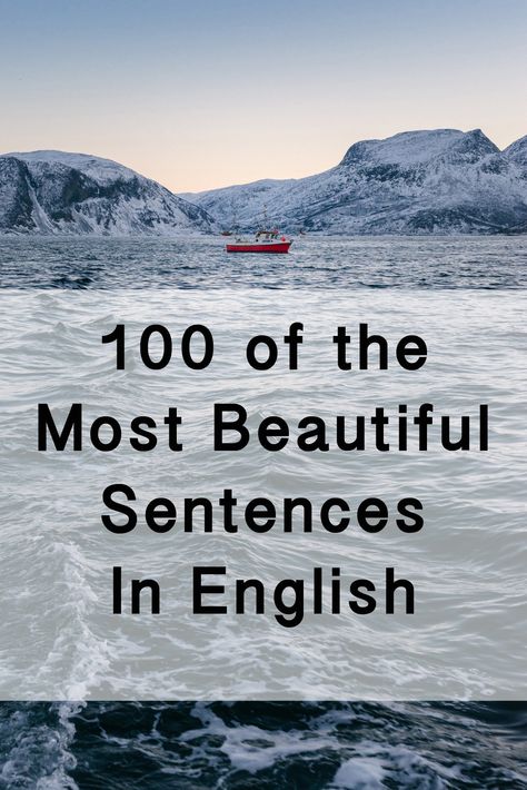 Lovely Sentences, Beautiful Sentences, Beautiful Definitions, Nature Words, Service Quotes, Writing Blog, Complete Sentences, Persuasive Essays, Good Sentences