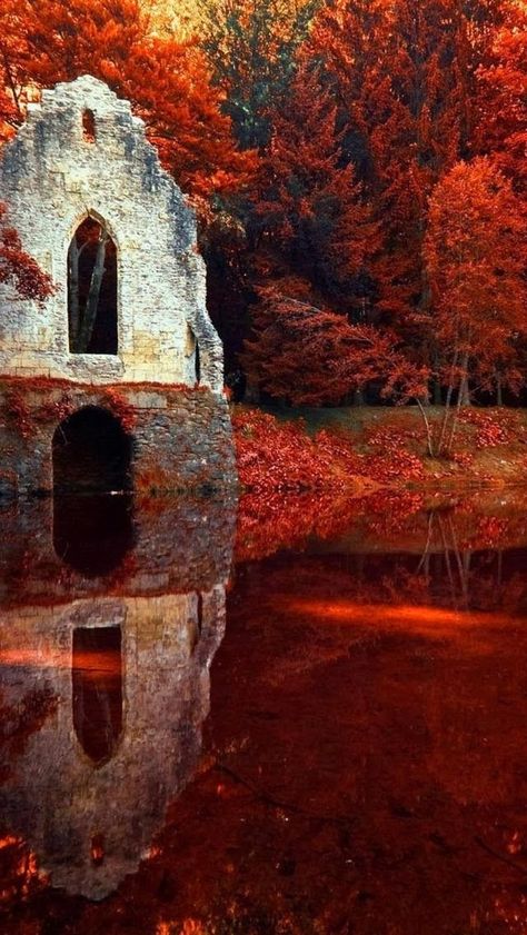 France Autumn, Chamonix France, Magic Places, Red Autumn, Thanksgiving Wallpaper, Red Leaves, Photography Landscape, Alam Yang Indah, Beautiful Architecture