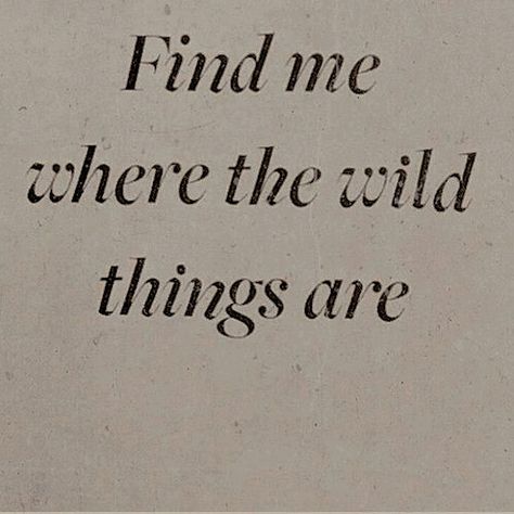 Wild Things, Quote Aesthetic, Pretty Words, Pretty Quotes, Thoughts Quotes, The Words, Meaningful Quotes, Beautiful Words, The Wild