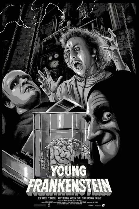 Young Frankenstein, Movie Artwork, I Love Cinema, Classic Movie Posters, Horror Posters, Horror Movie Art, Classic Horror Movies, Horror Movie Posters, Horror Movie Characters