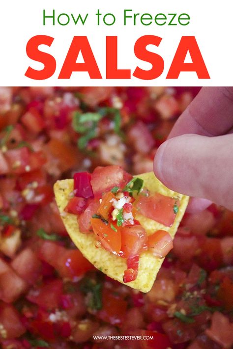 Freeze Salsa Can You, Homemade Salsa With Fresh Tomatoes Freezer, Salsa Recipe To Freeze, How To Freeze Homemade Salsa, Salsa For Freezing, How To Freeze Salsa, Freezing Salsa Recipes, Salsa Freezer Recipe, Can You Freeze Homemade Salsa