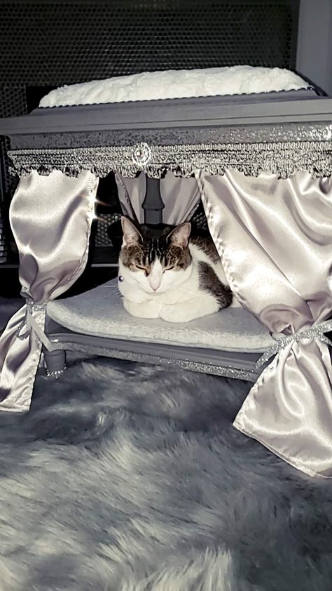 Luxury cat canopy bed with curtains Cat Bed Aesthetic, Canopy Bed With Curtains, Cat Canopy, Dog Bed With Canopy, Dog Canopy Bed, Fancy Cat Bed, Bed With Curtains, Fancy Pet Beds, Cat Bed Aesthetic Pink