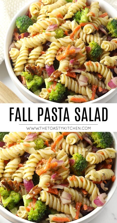 Fall Pasta Salad by The Toasty Kitchen #fall #autumn #pastasalad #partyfood #thanksgiving #halloween #broccoli #carrots #pecans #vegan #sidedish #rotini Salad For Fall Party, Thanksgiving Pasta Salad With Butternut Squash, Side Dish Recipes For Thanksgiving, Pasta Side Salad Recipes, Cold Pasta Salad Recipes Thanksgiving, Broccoli Pasta Salad Cold, Fall Soup And Salad Party Ideas, Side Dishes For Fall Cookout, Salads With Carrots