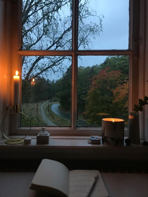 Peaceful Fall Aesthetic, Tea Time Astethic, Pretty Window View, Autumn Window Aesthetic, Cozy Woods Aesthetic, Cozy Window Aesthetic, Cozy Winter Morning Aesthetic, Cozy Pictures Aesthetic, Gloomy Autumn Aesthetic