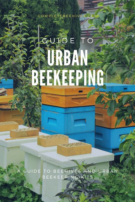 Honey Bee Setup, Raising Bees For Beginners, Bee Feeding Station, Urban Farming Backyard, Backyard Beekeeping Setup, Micro Homestead, Bee Keeping For Beginners, Bee Garden Design, Backyard Livestock