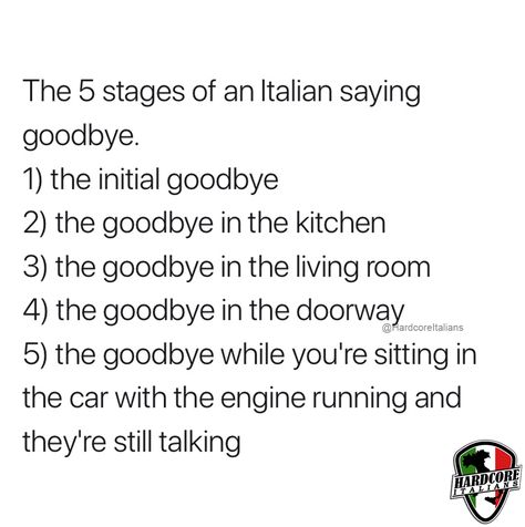 Omg this is pure truth 😂😂 Italian Jokes, Italian Memes, Greek Memes, Pride Clothing, Italian Clothing, Italian Girl, Italian Pride, Italian Family, Pride Merchandise