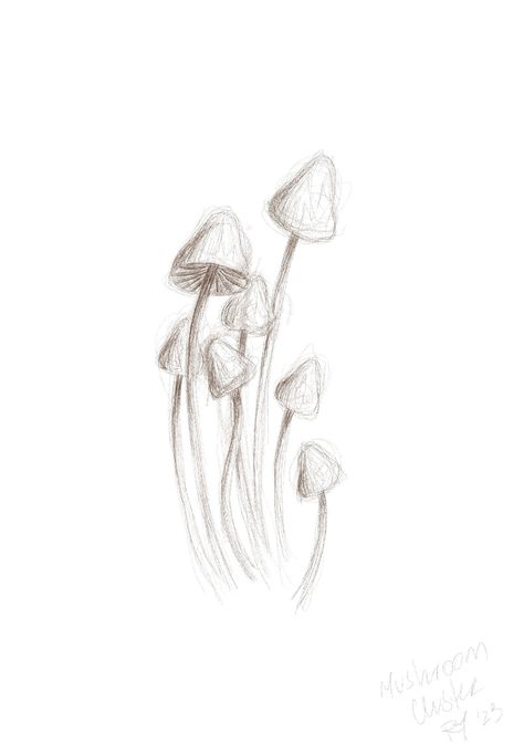 Digital sketch of a cluster of mushrooms inspired by the steam pattern on my bathroom mirror when I jumped out of the shower one night! Mushroom Drawing Ideas Easy, Toadstools Drawing, Nature Things To Draw, Mushroom Sketch Ideas, Mushroom Cloud Drawing, Charcole Sketch Easy, Mushroom Fairy Drawing, Weird Sketches Inspiration, Simple Sketches Ideas