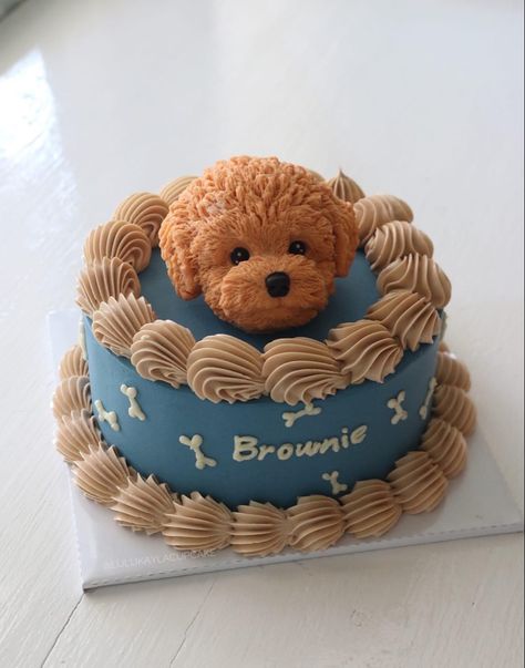 Dog Cake Design Ideas Simple, Bday Cake For Dogs, Poodle Cake Ideas, Cake For Dogs Birthday Ideas, Puppy Cakes For Kids, Dog Cake Design Ideas, Dog Birthday Cake Design, Dog Birthday Cake Ideas, Dog Themed Cake