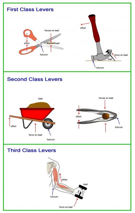 Covering the three types of lever and the physics behind how they work. #science #physics #mechanics #SimpleMachines Work Physics, Physics Mechanics, Physics Lessons, Physics Humor, Physics Concepts, Learn Physics, Middle School Science Experiments, Basic Physics, Physics Formulas