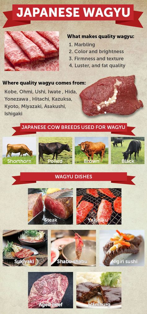 Wagyu Recipes, Wagyu Beef Recipe, Beef Sushi, Teppanyaki Restaurants, Japanese Wagyu, Marbled Meat, Japan Restaurant, Wagyu Steak, Japanese Beef