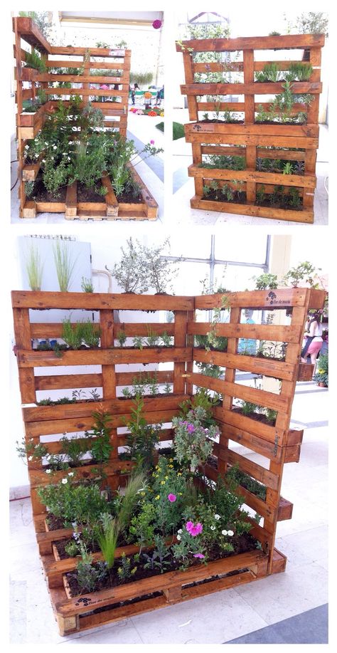 Pal Raised Garden Beds Pallets, Pallet Planters Ideas, Marian Garden, Diy Garden Decor Projects, Vertical Pallet Garden, Spacious Backyard, Pallet Projects Garden, Pallet Planter, Garden Decor Projects