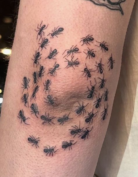 Powerful Creatures, Ant Tattoo, Funky Tattoos, Circle Tattoos, Bug Tattoo, Wicked Tattoos, Tattoo Inspiration Men, Spooky Tattoos, Botanical Tattoo