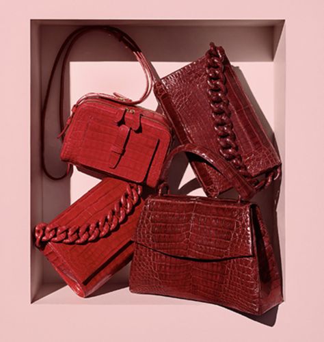 Nancy Gonzalez Red Croc Chain Top Handle Crossbody Bags Red Purses Designer Purses Statement Purses Purse Fashion Aesthetic Top Handle Red Handbags Designer Sample Sale Croc Chain, Statement Purse, Red Handbags, Nancy Gonzalez, Chain Top, Designer Purses, Purse Fashion, Handbags Designer, Red Purses