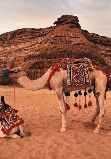 Saudi Arabia Alula, Saudi Desert Aesthetic, Najd Saudi Arabia, Saudi Arabia Desert Aesthetic, Desert Saudi Arabia, Al Ula Saudi Arabia Aesthetic, Ramadan In Saudi Arabia, Middle East Aesthetic, Saudi Arabia Aesthetic