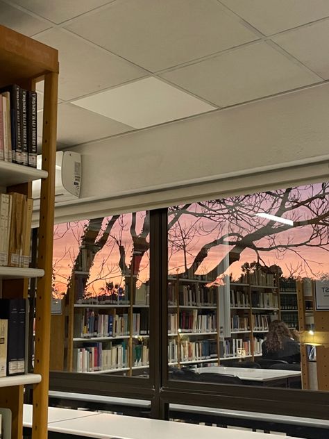 afternoon study sessions sunset Spring Studying Aesthetic, Study Session Aesthetic, Study Session, Study Sessions, Summer Afternoon, Spring Aesthetic, Insta Stories, 2024 Vision, Autumn Aesthetic