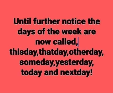 Funny Thought Of The Day, Words Of The Day, Funny Names, Funny Thoughts, Days Of The Week, Twisted Humor, Funny Words, Thought Of The Day, Sarcastic Quotes