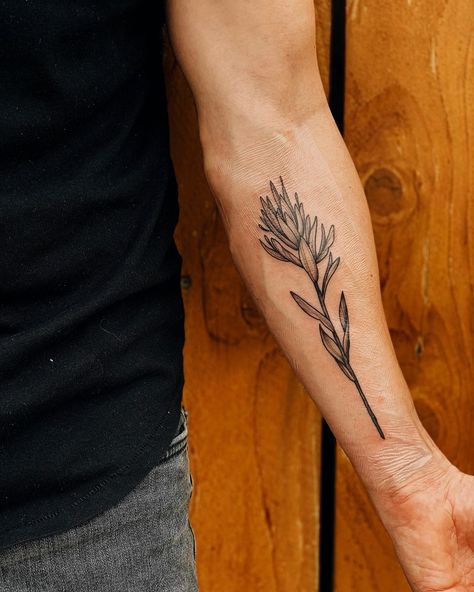 Indian Paint Brush Flower Tattoo, Indian Paintbrush Flowers Tattoo, Indian Paint Brush Tattoo, Paintbrush Flower Tattoo, Sagebrush Tattoo, Benjamin Core, Indian Paintbrush Tattoo, Lupine Tattoo, Paintbrush Flower