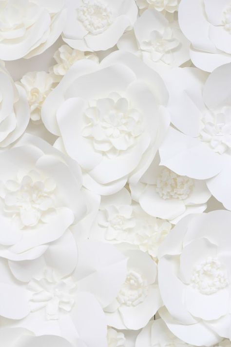 Blanco White, Bridal Shower Inspiration, Shower Inspiration, Paper Flower Backdrop, Simply White, Shades Of White, White Wallpaper, White Aesthetic, Color Textures