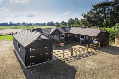 Horse Yard, Barn Layout, Horse Barn Ideas Stables, Barn Stalls, Horse Barn Designs, Horse Shelter, Dream Horse Barns, Dream Stables, Horse Barn Plans