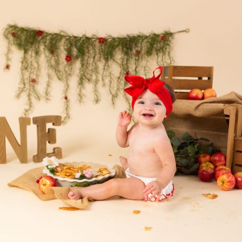 APPLE PIE SMASH CAKE - DaniRae Photography - Albuquerque Rio Rancho Newborn and Maternity Photography Pie Smash Cake, Birthday Pies, Smash Cake First Birthday, Farm Nursery Theme, Apple Birthday, Apple Pie Cake, Smash Cake Girl, 1st Birthday Photoshoot, One Year Birthday