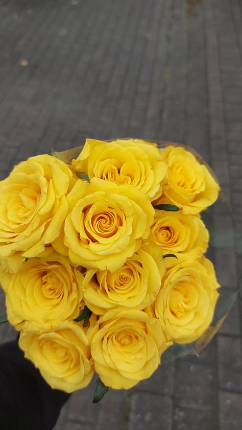 Love yellow roses 💛 #flowers #yellowroses #roses Bouquet Of Yellow Roses, Yellow Flower Aesthetic, Yellow Roses Wedding, January Flowers, Yellow Flowers Bouquet, Yellow Rose Bouquet, Blue Roses Wallpaper, Yellow Rose Flower, Roses Yellow