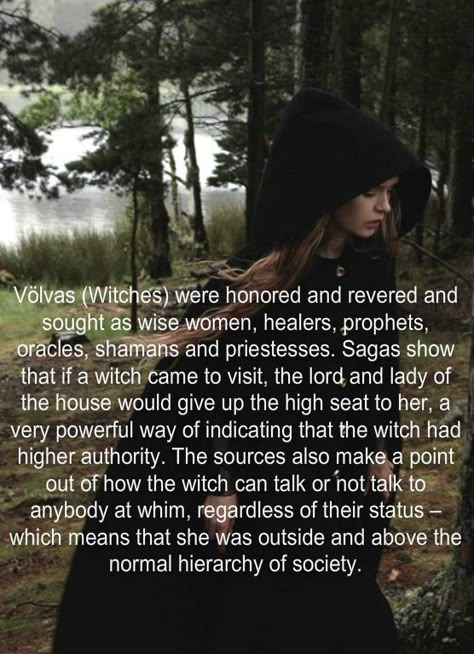 The same could be said for druids. Viking Facts, Baba Jaga, Norse Myth, Norse Pagan, Wicca Witchcraft, Norse Vikings, Wise Women, The Labyrinth, Kitchen Witch