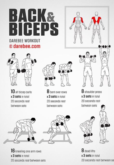 Back And Bicep Workout Gym, Mens Bicep Workout, Bicep Workout Gym, Back And Biceps Workout, Back And Bicep Workout, Workout Gym Routine, Bicep Workout, Latihan Dada, Gym Workout Planner