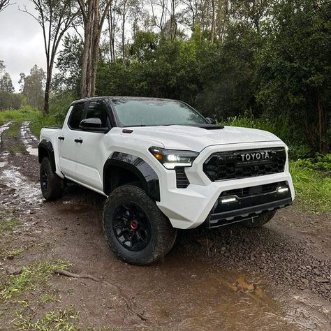 White Tacoma, Trd Pro Tacoma, 2024 Tacoma, Toyota Tacoma Lifted, Toyota Tundra Lifted, Toyota Trucks 4x4, Toyota Offroad, 2024 Toyota Tacoma, Toyota Pickup 4x4