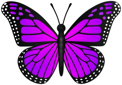 Butterfly Violet, Happy Birthday Png, Rosé Png, Kids Frames, Halloween Clips, Valentine Clipart, Easter Clipart, Birthday Clipart, Easter Pictures