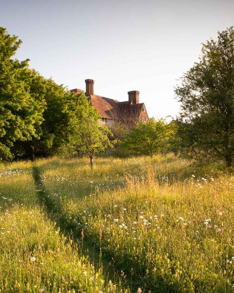 Happy #NationalMeadowsDay 🌱 Here's one of our favourite meadows at @GreatDixterofficial. Designing a meadow can be a fulfilling if challenging thing. But meadows are proven to support huge biodiversity and be excellent for pollinators. Even if you don't want to create a meadow in its entirety, or don't have the space for one, you can still bring a little sense of meadow to your plot, whatever its size.  © Richard Bloom Meadow Aesthetic, Garden Core, Aesthetic Farm, Meadow House, Field Garden, Country House Exterior, Grass Meadow, Cottage House Designs, Great Dixter