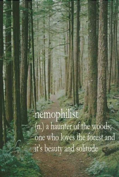 Path In The Woods, Wild Women Sisterhood, Nature Quotes Adventure, Cheese Chips, Unique Words Definitions, Uncommon Words, Motivation Positive, Hiking Quotes, Weird Words