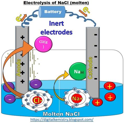 Electrolysis of molten NaCl | Oxidation half and reduction half cell reactions in electrolytic cell Chemistry Animation, Electroplating Diy, Electrochemical Cell, Sita Photo, Chemistry Activities, Basic Anatomy, Chemistry Projects, Chemistry Basics, Cells Project