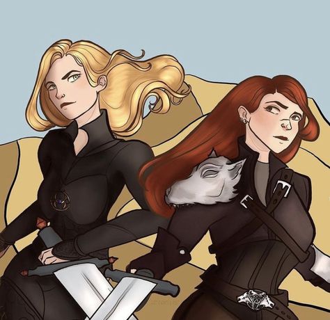 Duo Characters, Throne Of Glass Fanart, Aelin Galathynius, Throne Of Glass Books, Crown Of Midnight, Empire Of Storms, Throne Of Glass Series, Sarah J Maas Books, Crescent City