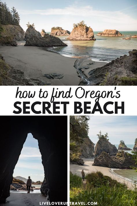 Find out everything you need to know to visit Secret Beach in Oregon, one of the best beaches in Oregon. Get tips on how to find Secret Beach Oregon, the best time to visit, and more to enjoy one of the best stops on an Oregon coast road trip. | secret beach oregon coast | secret beach brookings oregon | samuel h boardman state park | samuel h boardman scenic corridor | samuel h boardman state scenic corridor | south oregon coast road trip | best oregon beaches | best beaches oregon coast Short Sand Beach Oregon, Arcadia Beach Oregon, Tunnel Beach Oregon, Secret Beach Oregon, Samuel H Boardman State Park, Portland Oregon Beach, Japan Beaches, Oregon Coast Aesthetic, Beaches In Oregon