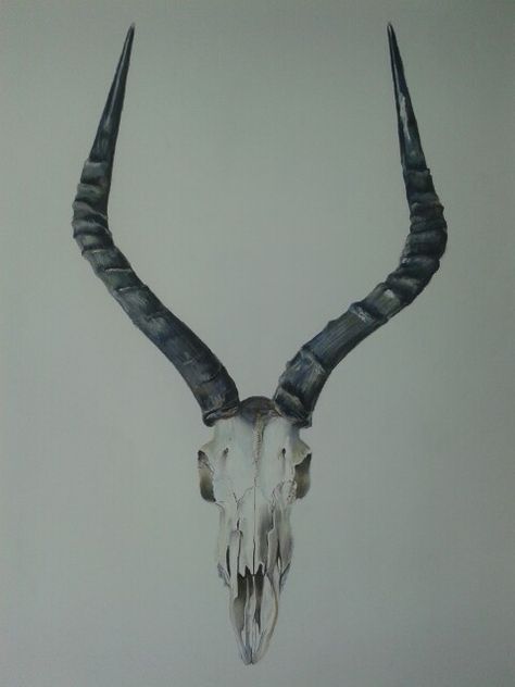 Antelope skull, dry pastel on fabriano paper by Wilna Botha Antelope Skull, Skate Stickers, Dry Pastel, Skull Drawing, S Tattoo, Tattoo Design Drawings, Fabric Art, I Tattoo, Skull Tattoo