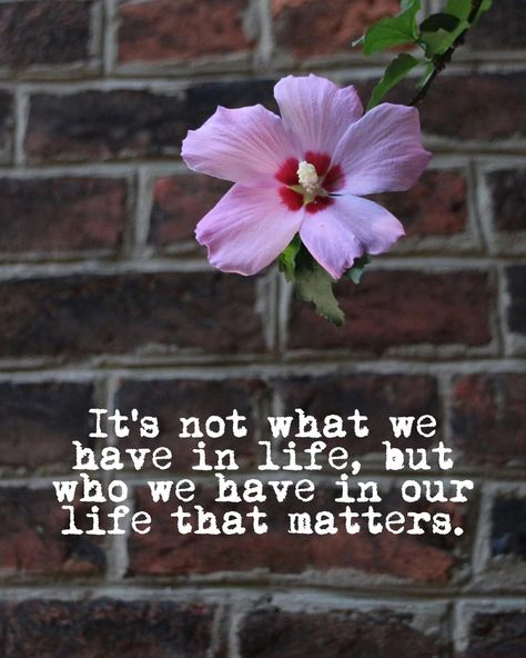 💕✨ Feeling grateful for the amazing people who bring joy and love into my life every day. Remember, it's all about the ones we have by our side! #Gratitude #Blessed #Love #FriendshipGoals #JoyfulMoments #CherishedMemories #PositiveVibesOnly #LoyalFriends #ChoosePositivity #CountYourBlessings #FamilyFirst Blessed With Good People Quotes, Grateful Love Quotes, Bless Day Quotes, Thankful For The People In My Life, Grateful For The People In My Life, Love People Quotes, Grateful Quotes Gratitude, Grateful For Family, Good People Quotes