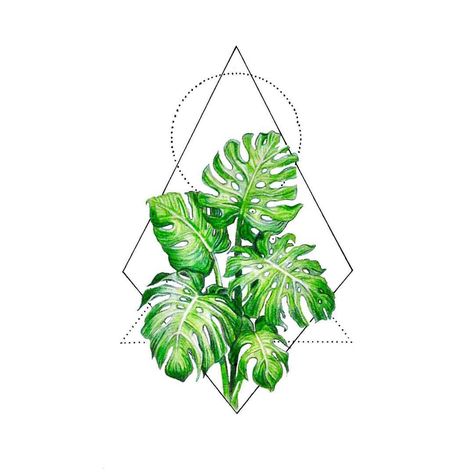 Erethreal Tattoos, Fineline Plant Tattoo, Monstera Plant Tattoo Design, Monstera Tattoo Ideas, Green Plant Tattoo, Monstera Plant Sketch, Minimal Plant Tattoo, Plants Tattoo Design, Monstera Tattoos