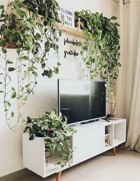 نباتات منزلية, Living Room Plants, Plant Decor Indoor, House Plants Decor, Room With Plants, House Plants Indoor, A Living Room, Urban Jungle, Entertainment Center