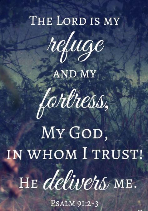 The Lord Is My Refuge, Psalm 91 2, God Is Faithful, Dwelling Place, Christ Quotes, Ayat Alkitab, Biblical Verses, Quotes God, Prayer Scriptures