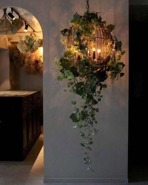 Bird Cage Decor, Deco Nature, House Plants Decor, Dream Room Inspiration, Dream House Decor, Aesthetic Room Decor, Plant Decor, Bedroom Makeover, Home Deco