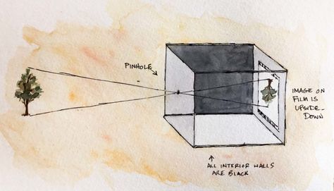 My kids know what a pinhole camera is... AND how to develop it!!!!    diagram of a pinhole camera with ink and watercolor Diy Pinhole Camera, Homeschool Art Projects, Flower Film, Simple Camera, Camera Drawing, Camera Tattoo, Pinhole Camera, Camera Obscura, Photography Club