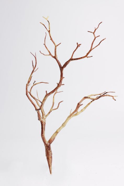 Discover our full range of artificial Tree Branches Material: Iron Wire; Plastic Length: 12" Number of Twigs: 3 Package of 1 Stem Realistic appearance Flexible, odorless, sturdy, wear resistant and not easy to crack or rust, support a long time use Suitable for lots of occasions, like floral decorations, home interiors, garden outings, offices, parties, various festivals. Wabi Sabi Flowers, Artificial Tree Branches, Branch Centerpieces, Diy Flower Boxes, Manzanita Branches, Branches Diy, Peonies And Hydrangeas, Shiva Tattoo, Beautiful Trees