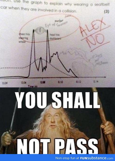 Lord Of The Ring, Funny Test Answers, Laughing Funny, Lotr Funny, You Shall Not Pass, Funny Test, One Does Not Simply, 웃긴 사진, Thranduil