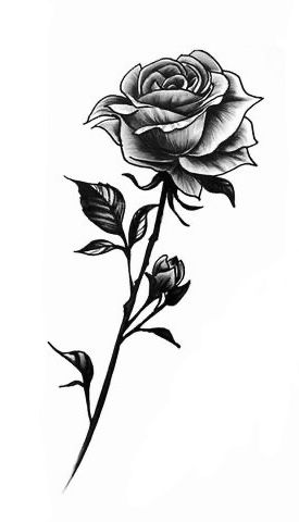 Single Rose Tattoos, Rose Drawing Tattoo, Rose Hand Tattoo, Rose Tattoos For Men, Rose Tattoos For Women, Tattoo Shoulder, Small Rose Tattoo, Black Rose Tattoos, Muster Tattoos