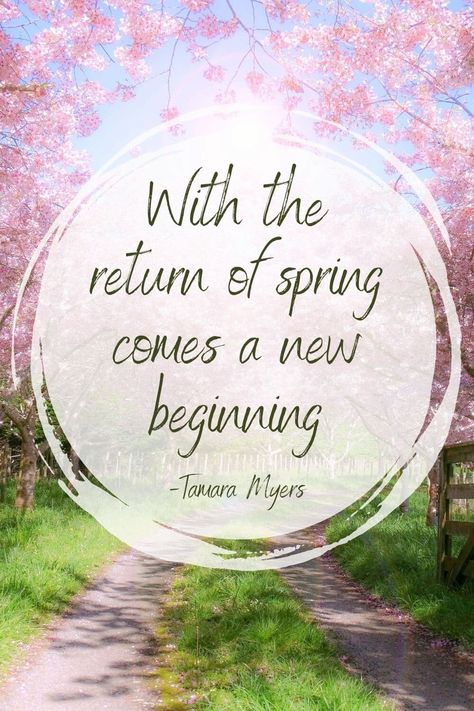 125+ Beautiful Spring Quotes That Are Perfect For Spring Renewal - RV Camping & Adventure Happy First Day Of Spring Quotes, Spring Is Coming Pictures, Spring New Beginnings Quotes, First Day Of Spring 2024, Spring Wallpaper Quotes, Welcome Spring Pictures, Happy Spring Day Quotes, Spring Is Here Quotes, 1st Day Of Spring Quotes