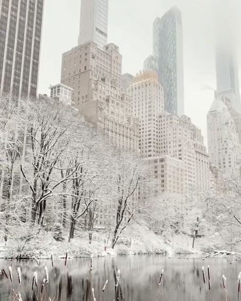 New York City 🗽 NYC Travel | Hotels | Food | Tips on Instagram: "Lost in the mesmerizing beauty of snowy days in the heart of NYC. ❄️🏙️🤩 💡 Winter in New York City is a truly magical experience. As the temperatures drop and the snow begins to fall, the city transforms into a winter wonderland, with twinkling lights adorning every street and storefront. From the iconic ice-skating rink at Rockefeller Center to the bustling holiday markets of Union Square and Bryant Park, there’s no shortage of New York During Winter, New York Ice Skating Aesthetic, Nyc White Aesthetic, Winter Computer Wallpaper, Nyc In Winter, Winter Holiday Aesthetic, New York In Winter, New York City Winter, New York Christmas Aesthetic